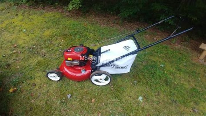 Stiff fiber NYT Crossword Clue | 16 June 2023