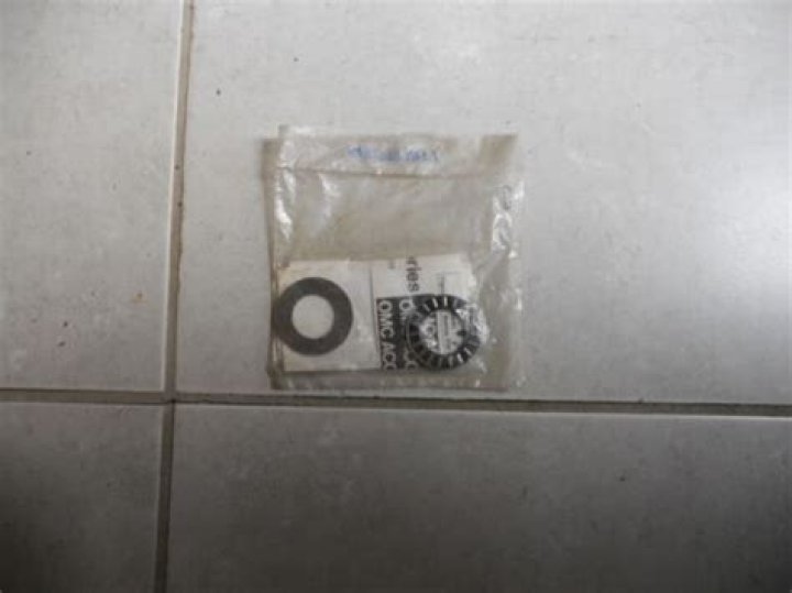 One studying coral composition, say NYT Crossword Clue | 17 June 2023