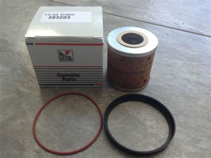 Undrafted Players in Toronto Raptors Roster? NBA Immaculate Grid Answers for July 222023