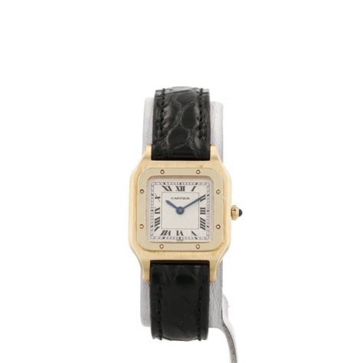 Fact Check: Is Freya Allan Leaving The Witcher?