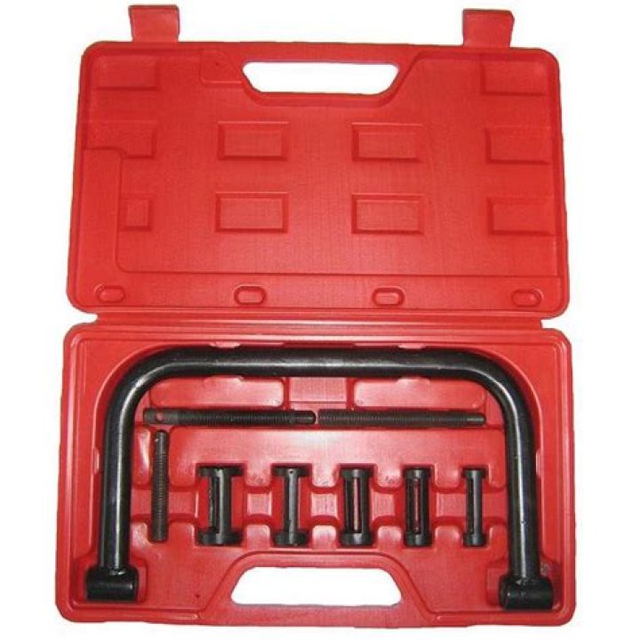 Shizzy Real Name Is Sean Taaffe - Check Age, Bio, Height, Wiki, Net Worth & Instagram Details-