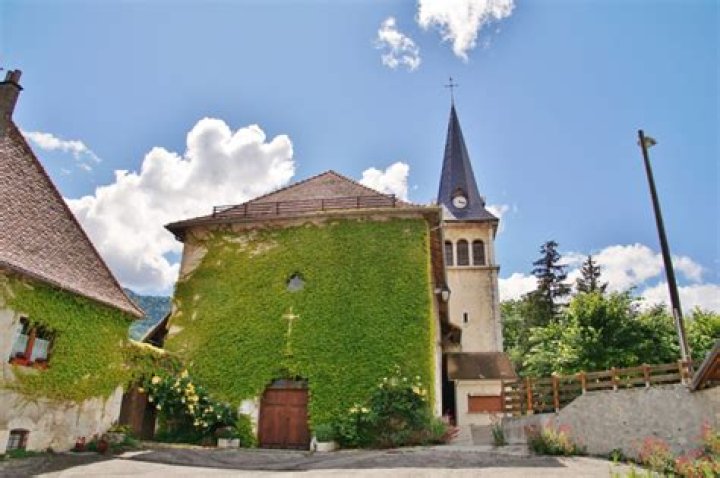 What Happened to W2S Harry Lewis Lip? Know Everything About Harry Lewis - News