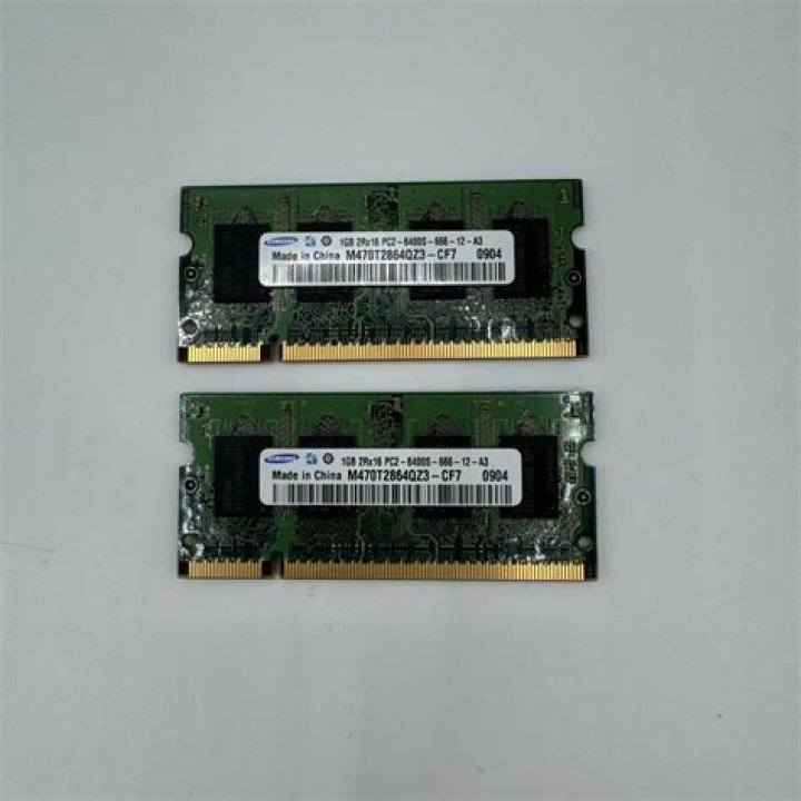 Nick Donofrio Obituary: Why University of South Carolina Student Shot Dead?