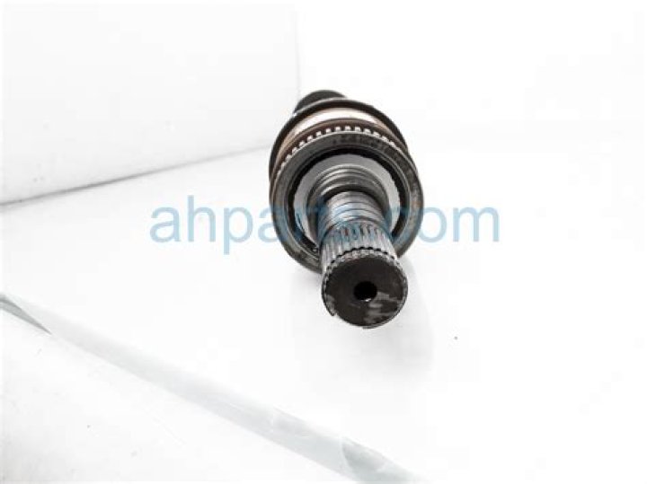 Who are Peyton Stearns Parents? - News