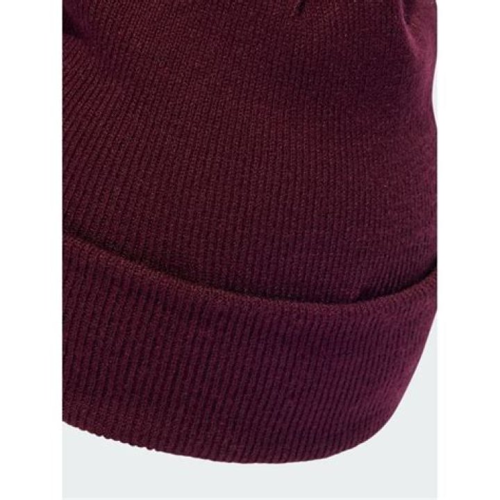 Is Putri Ariani Christian, Jewish, or Muslim? - SarkariResult