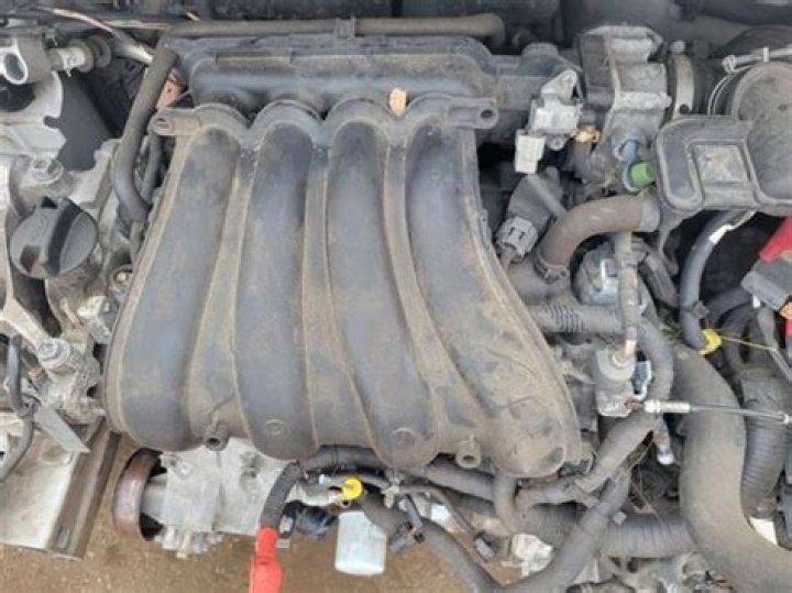 Stefon Diggs' Background: Exploring His Religious and Ethnic Roots and Place of Origin - SarkariResult