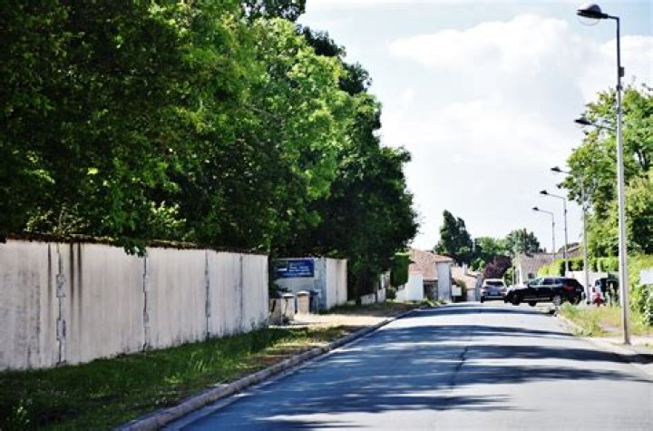 Unveiling the Inspirational Journey of Lisa Nichols, Founder of Motivating the Masses, Inc. - SarkariResult