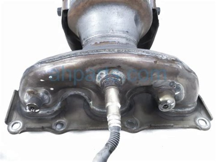 Jason Priestley Net Worth 2023 : Is it Reflective of his Stint on 90210 in 2023? - SarkariResult