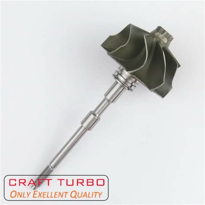 Nick Chubb's Love Life: An Update on His Relationship Status and Past Partners - SarkariResult