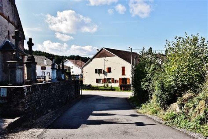 Mark Francis Vandelli Net Worth 2023 : Age, Wealth, Earnings, Biography & More - SarkariResult