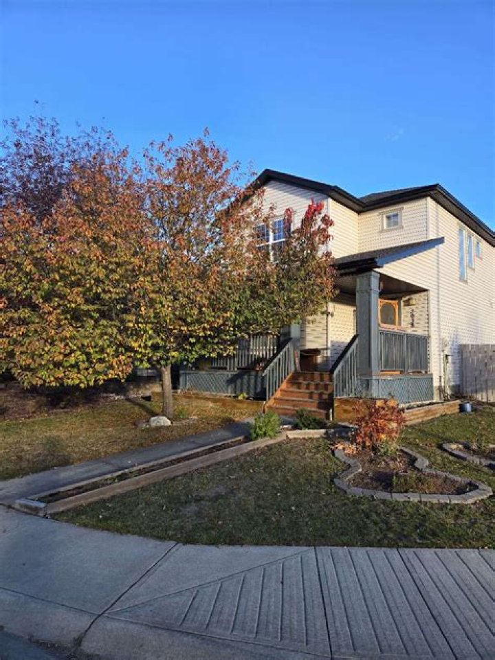 Sara Pascoe's Pregnancy: Unveiling the Details of Her Expanding Family - SarkariResult