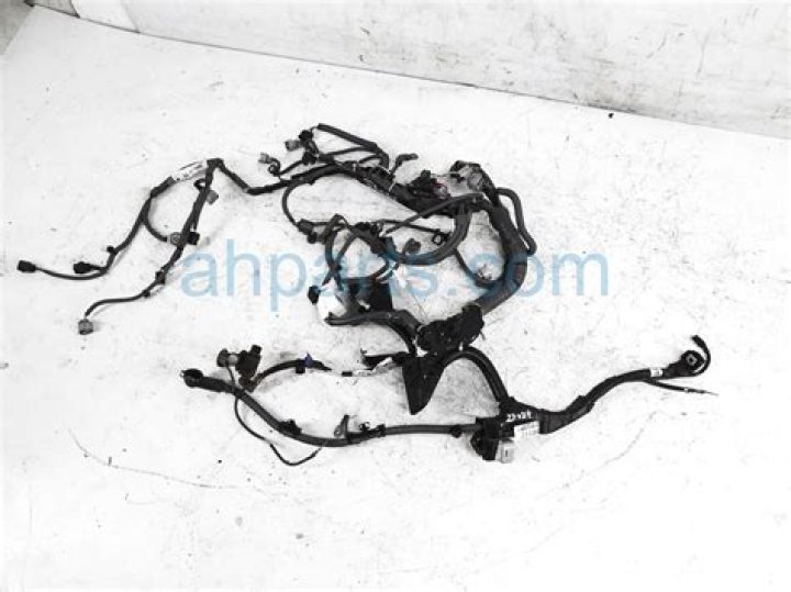 William Howard Taft: Exploring His Weight and Height, Was He the Heaviest U.S. President? - SarkariResult