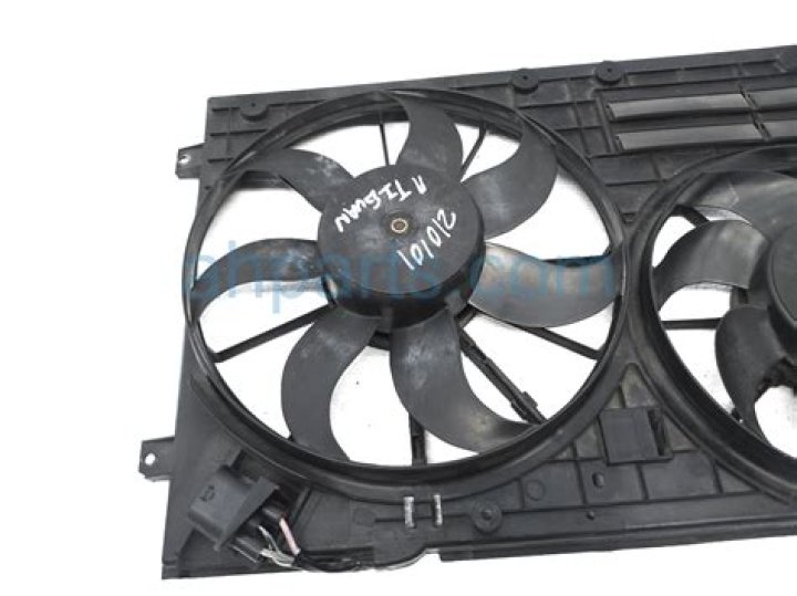 Getting to Know Iain De Caestecker: Insights into the Life of the Celebrated Scottish Actor - SarkariResult