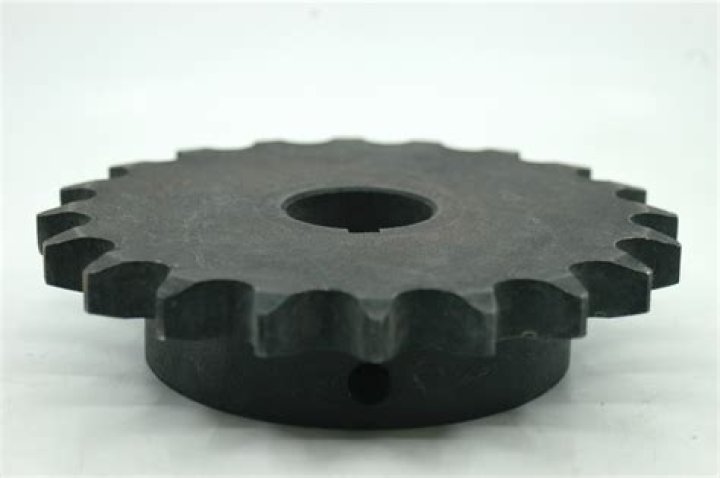 Gwen Stefani's Brother Eric: Beyond a Supportive Sibling? - SarkariResult