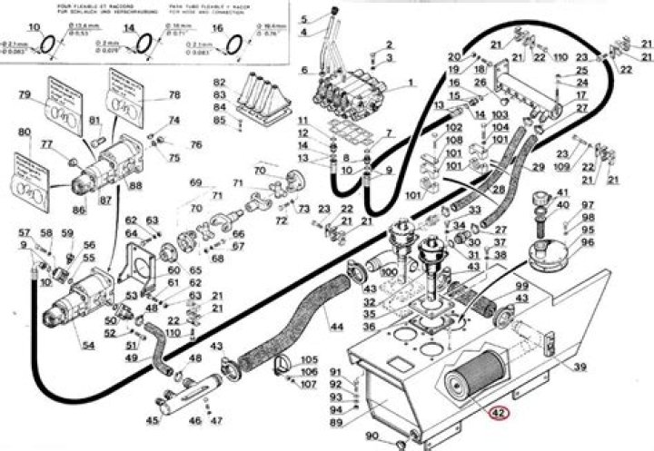 Bebe Rexha's Pregnancy Rumors: Unveiling the Truth About Her Expectations - SarkariResult