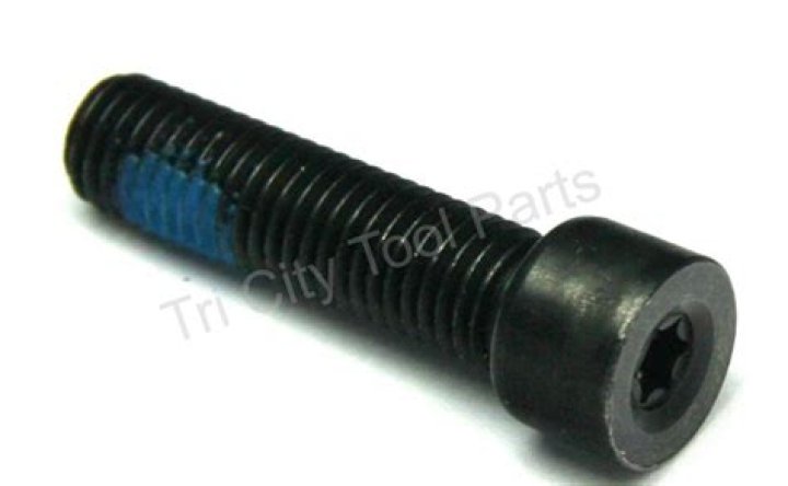 Journalist Irena Akbar Gives Baffling Logic Over Murder Of Shani Louk By Hamas Terrorists In Israel - SarkariResult