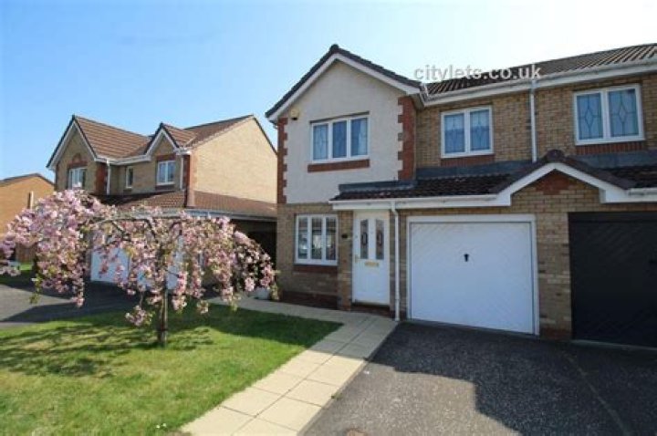 Is the Current Data on Shannon Leto's Height Accurate? - SarkariResult