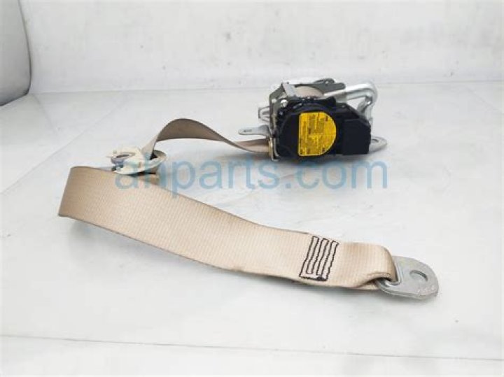 Kim Alexis Net Worth: Details About Modeling, Career, Age, House, Income - SarkariResult