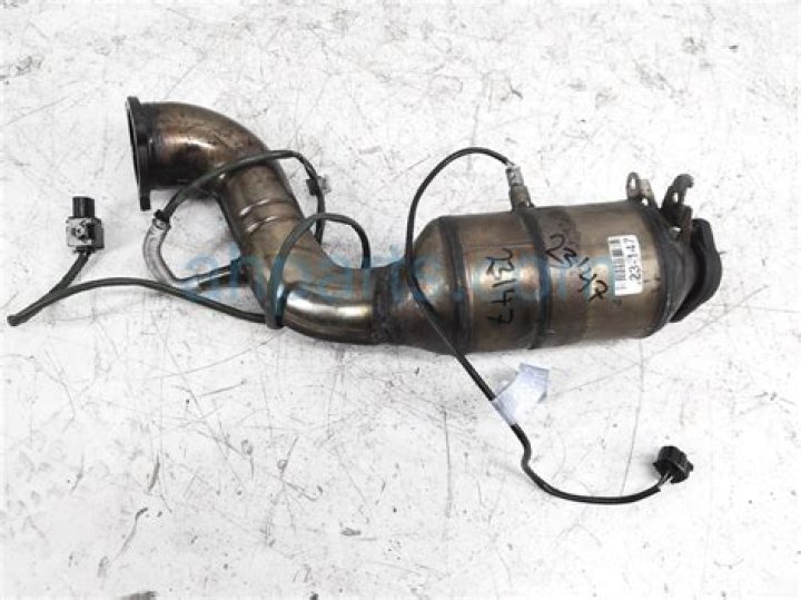 Duff McKagan Net Worth: Details About Songs, Daughter, Age, Height, Wife - SarkariResult