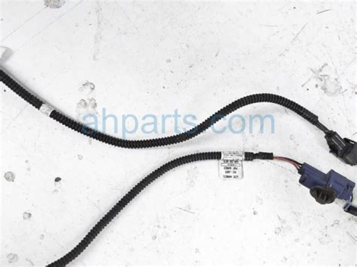 The Swarm Season 1 Episode 6 Release Date : Spoilers, Streaming, Recap, Schedule & Where To Watch? - SarkariResult