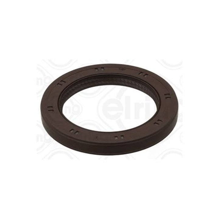 Christy Mack Net Worth: Details About Cars, Income, Biography, Career - SarkariResult