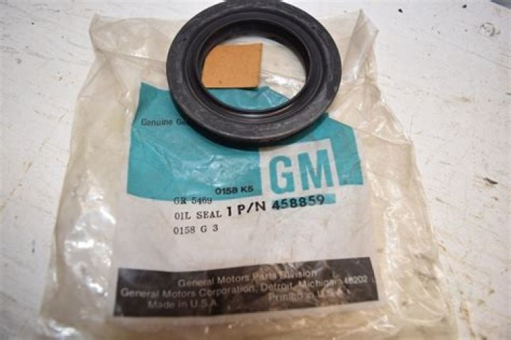 Alanna Ubach Net Worth: Details About Bf, Income, Movie, Career, Cars, Age - SarkariResult