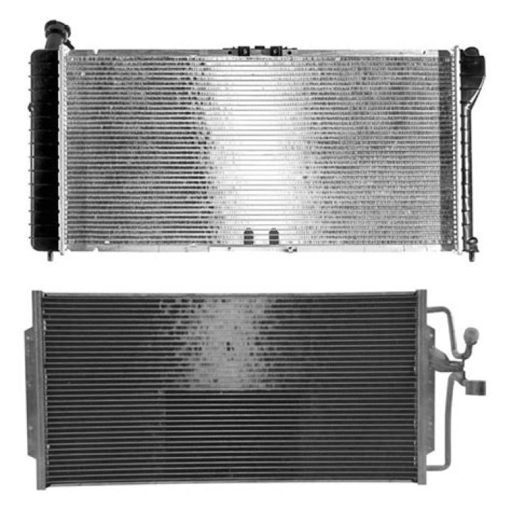 Ana de Armas Net Worth: Details About Movie, Earnings, Bf, Age, Career - SarkariResult