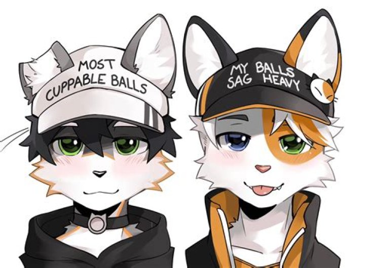 Chuck Schumer Net Worth: Details About Income, Age, Political, Career - SarkariResult