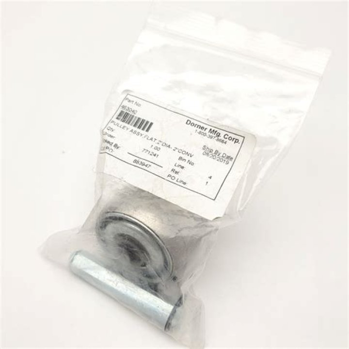 Who is Camelia Marie Somers, the granddaughter of Suzanne Somers? - SarkariResult