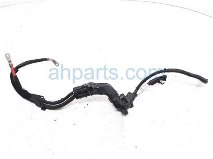 Discovering Bryan Shelton's Parents and Their Impact on Ben Shelton's Tennis Career - SarkariResult