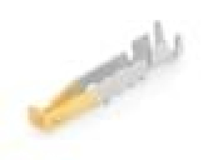 Antony Blinken's Children: What Do We Know About the Secretary of State's Offspring? - SarkariResult