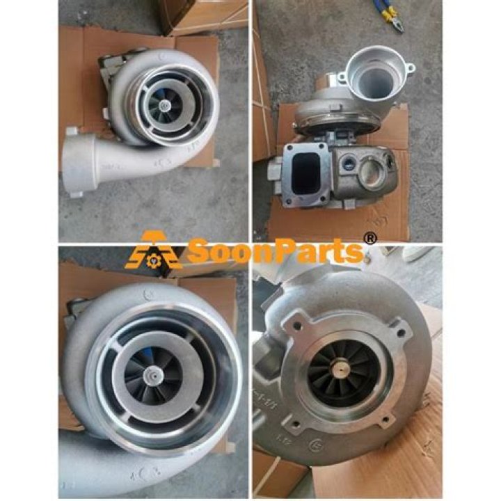 Chinese Tourist Jin Fang Missing After California Guide Found Dead - SarkariResult