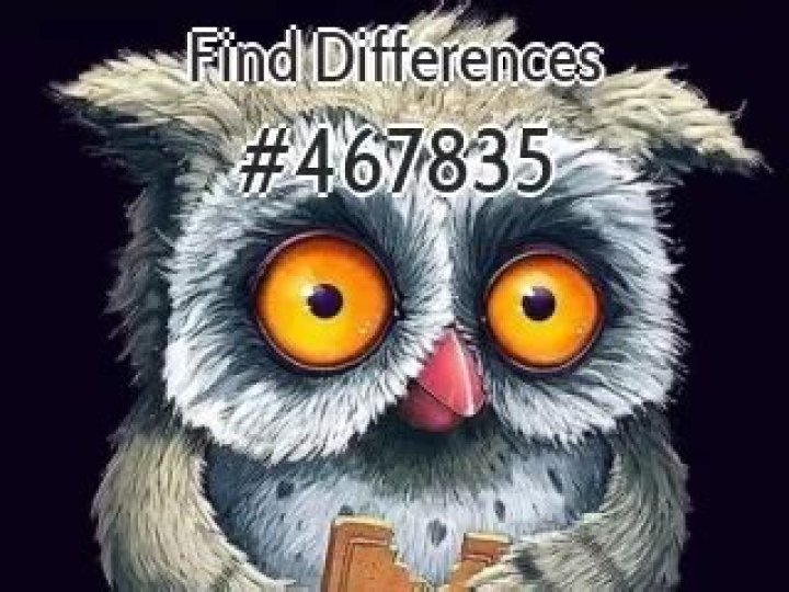 Perrion Winfrey Net Worth: Details About NFL, Stats, News, Salary, Draft - SarkariResult