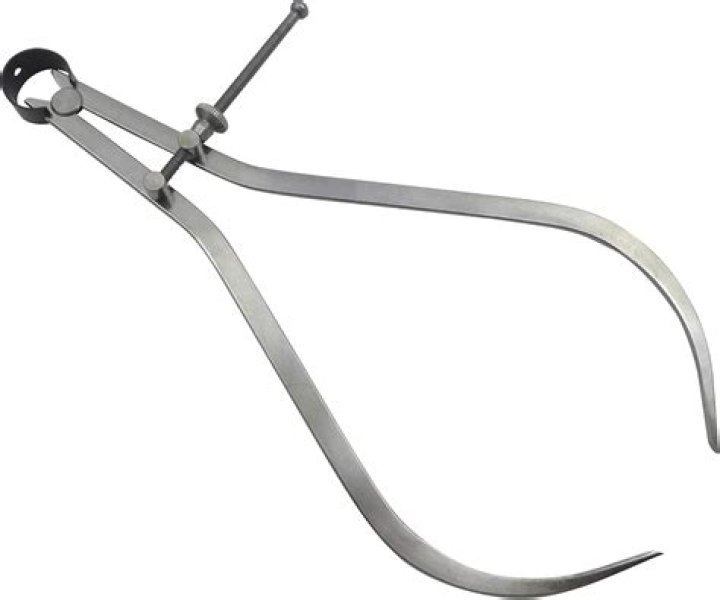 Jasmine Paolini Net Worth: Details About Assets, Income, Tennis, Career - SarkariResult