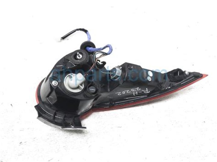 Who Are Tiko and Moon? Exploring the Story of Tiko and Moon and What Has Happened to Them. - SarkariResult