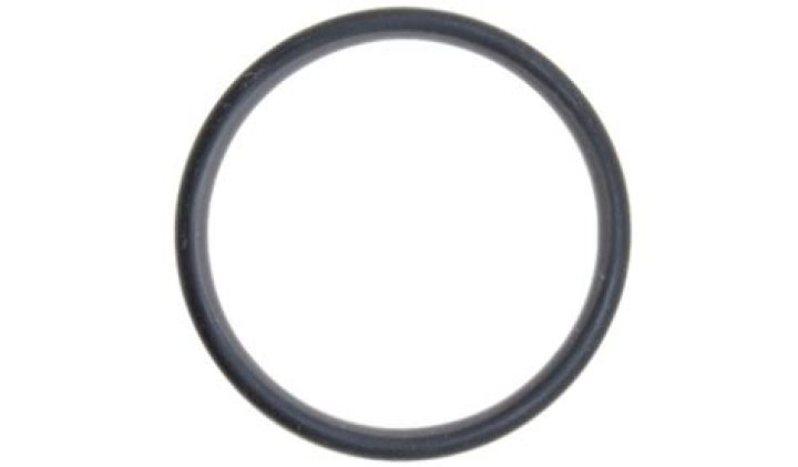 Christine Romans Net Worth: Details About Cars, Education, Salary, Age - SarkariResult