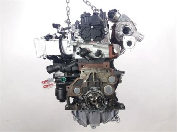 Margaret Qualley Net Worth: Details About Age, Income, Movie, Career - SarkariResult