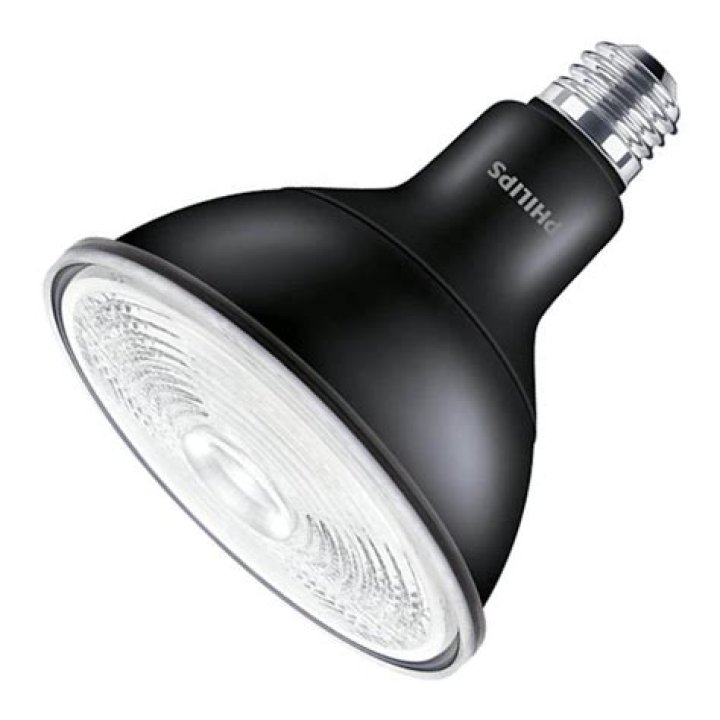 Brian Cox (Actor) Net Worth: Details About Podcast, TV, Movies, Shows - SarkariResult