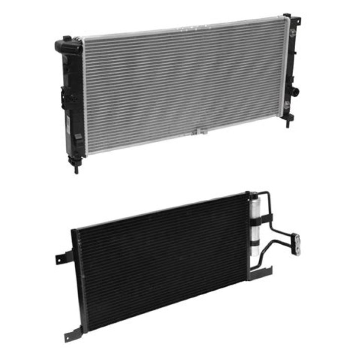 Tom Emmer Wife Jacqueline Emmer : Know about their Son And Family - SarkariResult