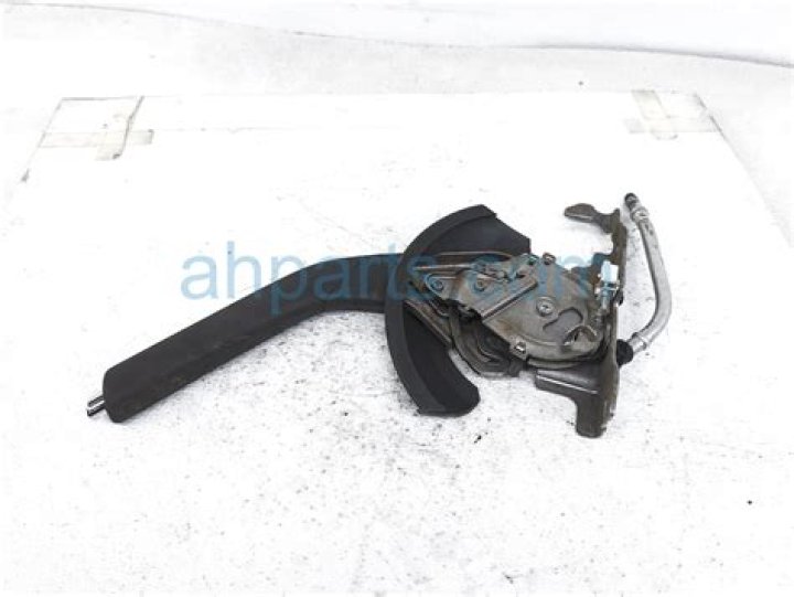 Harlan Switzer and Angela Jasmin Donis: University of Chicago Students Involved in Tearing Posters of Kidnapped Israeli Children - SarkariResult