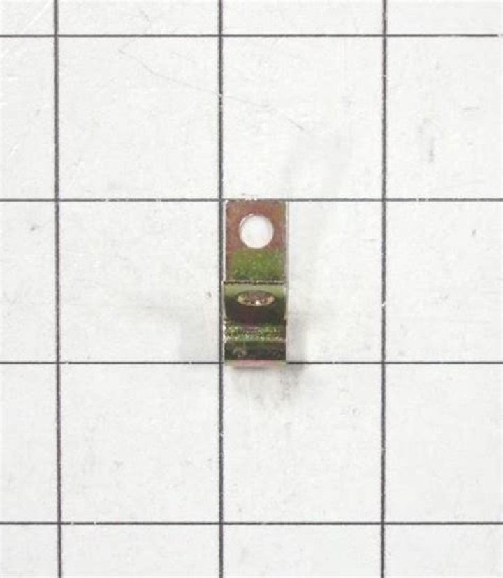 John and Amber Fury Relationship Status: Are They Still Together in 2023? - SarkariResult