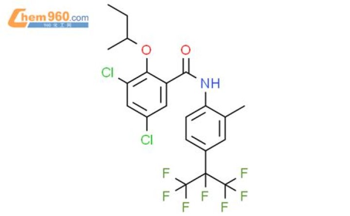 Aries Horoscope for 16 November 2023 :Discover the Hidden Wisdom of the Celestial Bodies! - SarkariResult