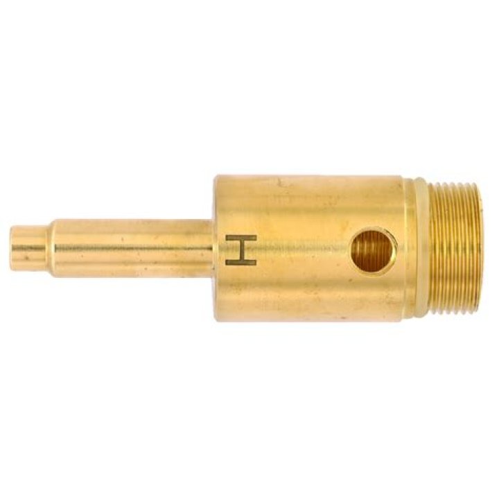 Nicole Zavala, Antonio Banderas Girlfriend : Who is Nicole Zavala? - SarkariResult