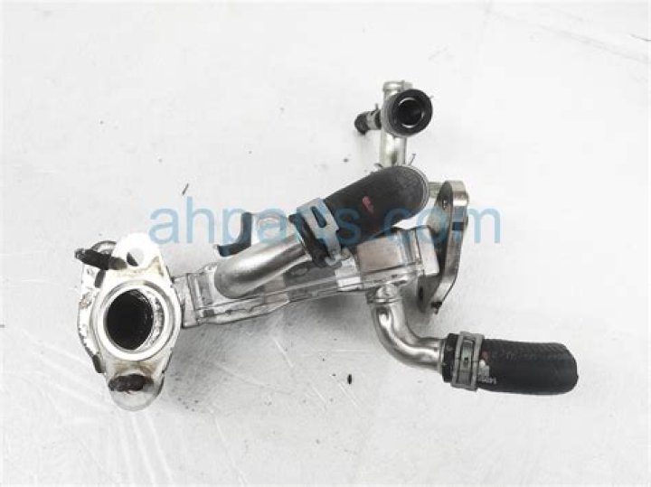 Jograd Dela Torre Obituary & Cause Of Death: Who was Jograd Dela Torre? What Happened To Jograd Dela Torre? - SarkariResult