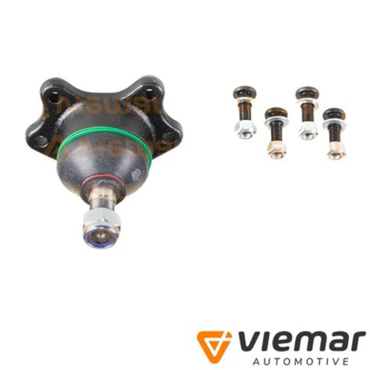 Get the Latest on Dylan Horton's Injury - Find Out What Happened to Dylan Horton - SarkariResult