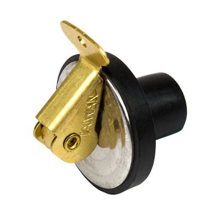 What's the Story Behind Elizabeth Vargas? Who is She? - SarkariResult