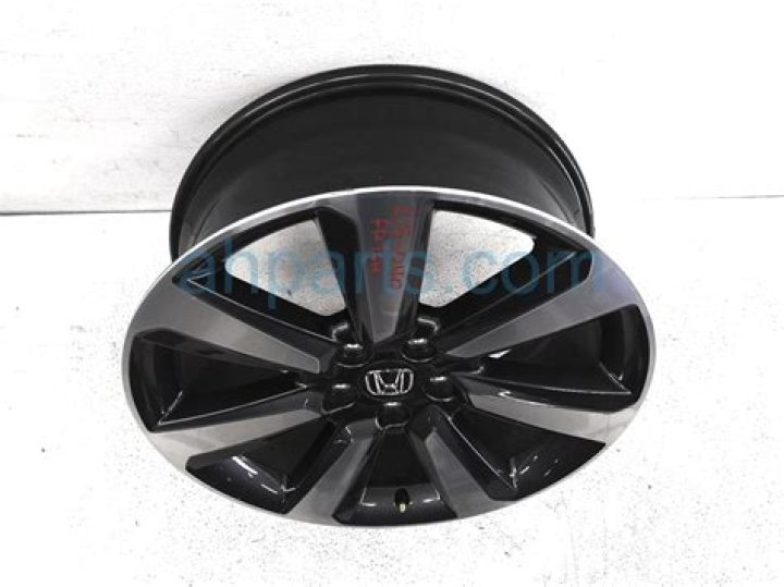 Diogo Fonseca Net Worth: Career, Home, Age, Income, All You Need to Know - SarkariResult