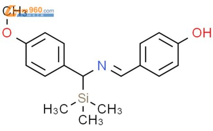 Scott Bok's Personal Life: Is Scott Bok Gay? Getting to Know Scott Bok. - SarkariResult