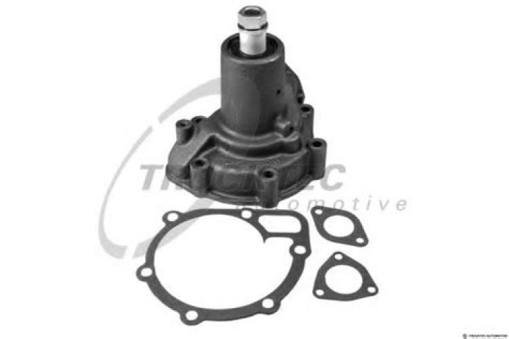 Who Was Lorene Shea? Discovering Lorene Shea's Marital Status - SarkariResult