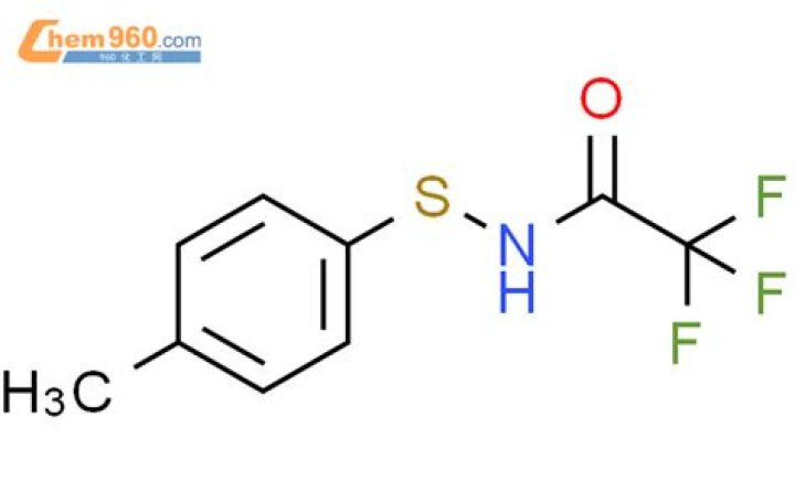 How to Do Auto Scroll on TikTok? How to Get Auto Scroll on TikTok? - SarkariResult